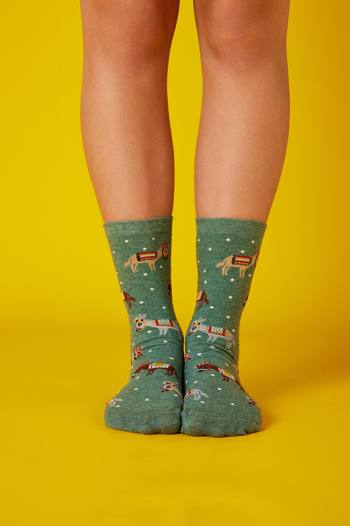 Donkeys Yeşil Fon Desenli Renkli Çorap