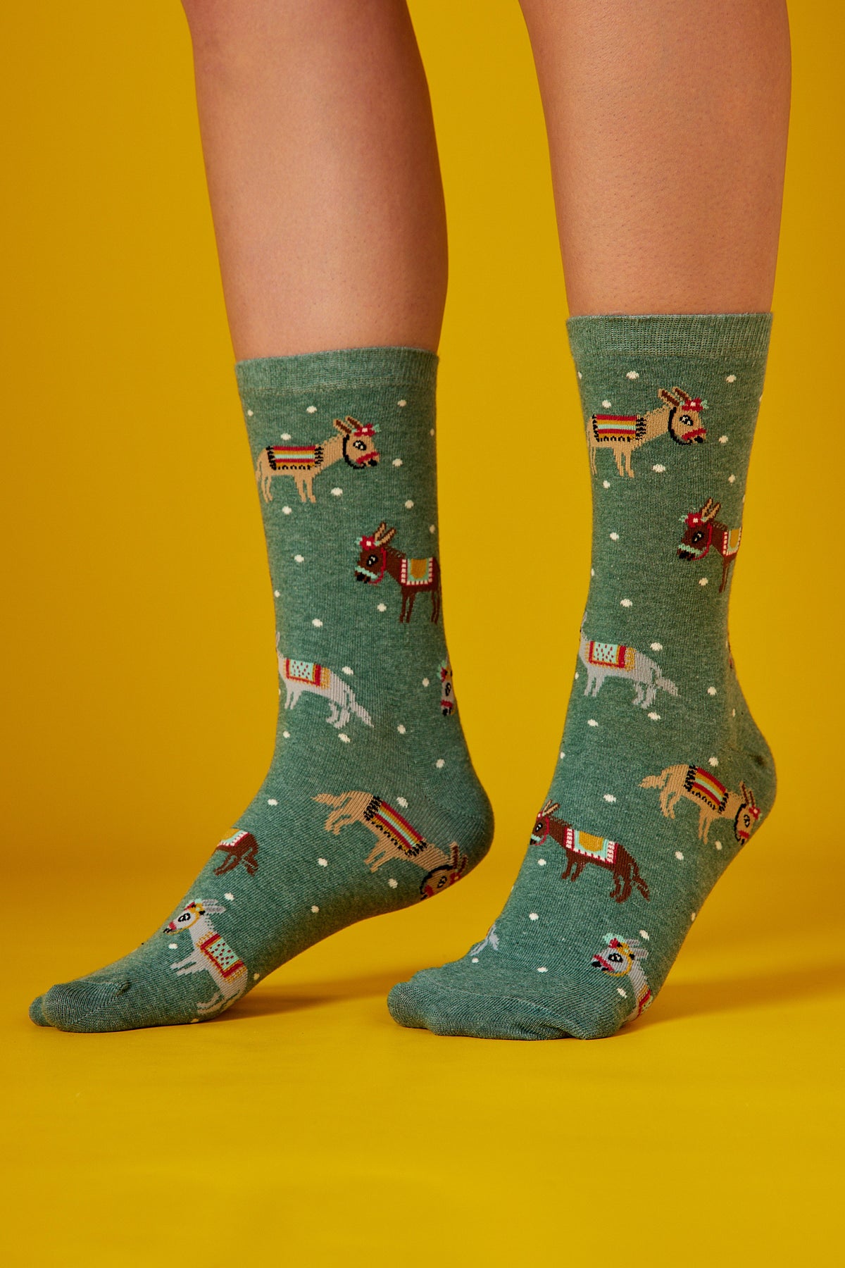 Donkeys Yeşil Fon Desenli Renkli Çorap