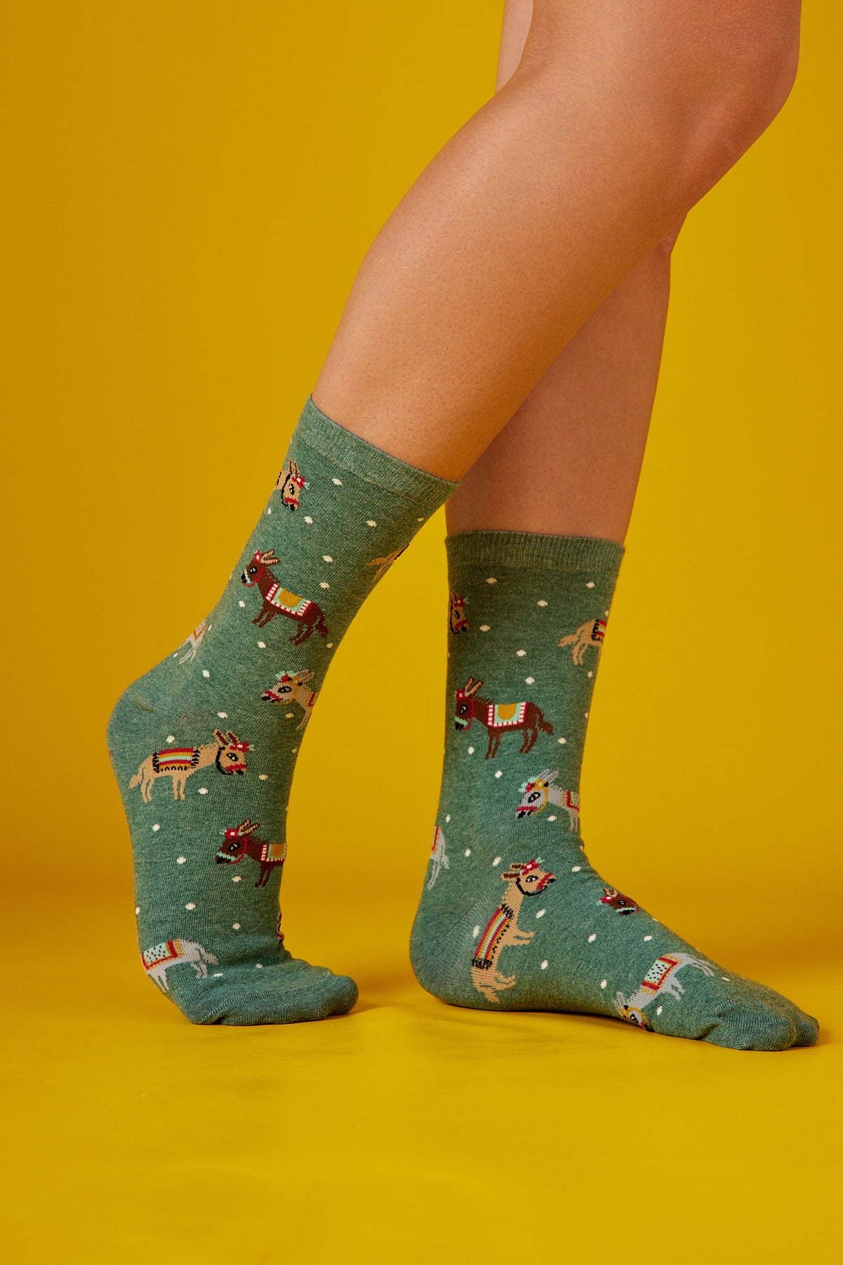 Donkeys Yeşil Fon Desenli Renkli Çorap