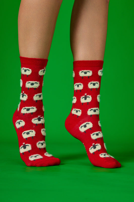 Tüylü Koyunlar Kırmızı Fon Desenli Çorap