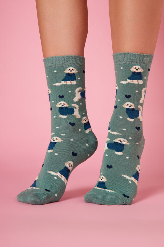 Bolognese Köpek Desenli Renkli Çorap