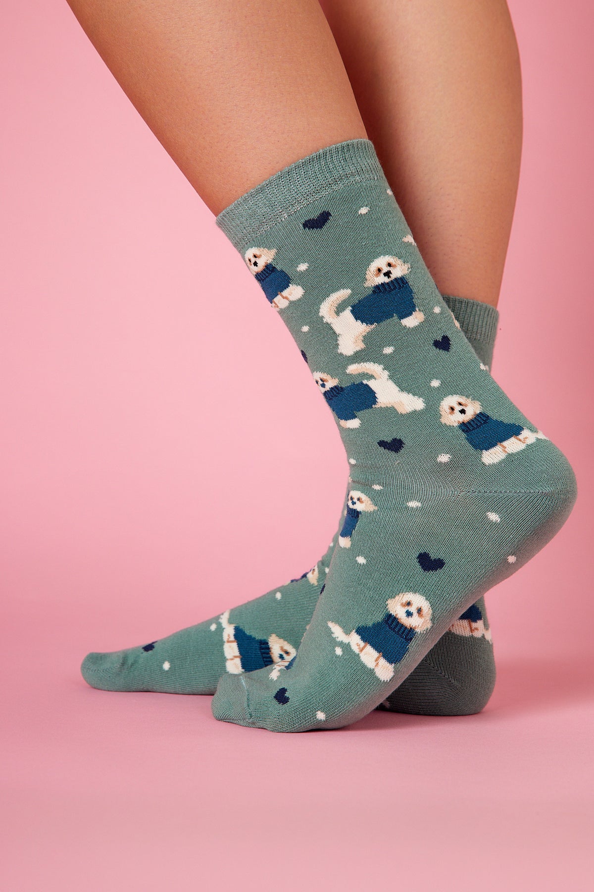 Bolognese Köpek Desenli Renkli Çorap