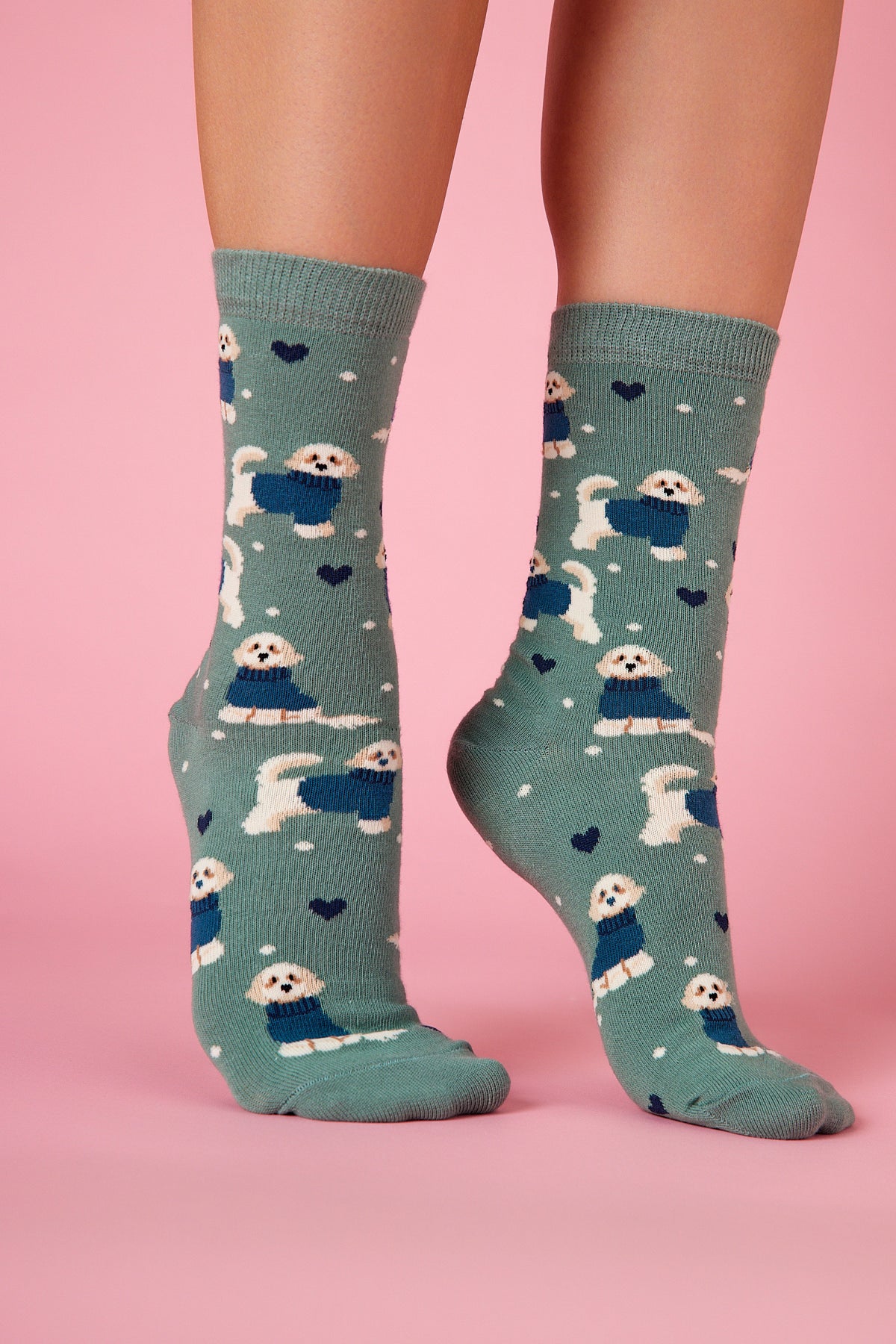 Bolognese Köpek Desenli Renkli Çorap