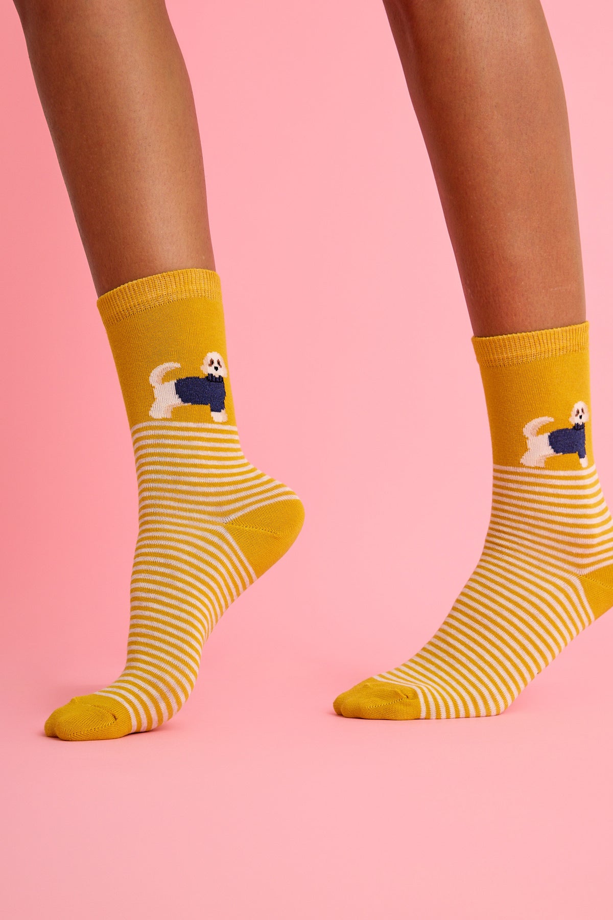 Sevimli Köpek ve Çizgili Sarı Çorap