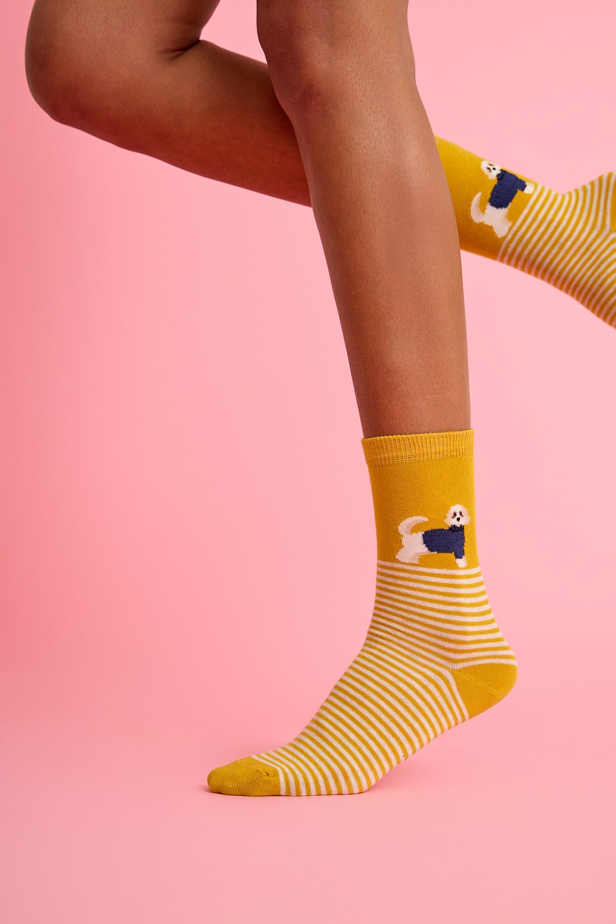 Sevimli Köpek ve Çizgili Sarı Çorap