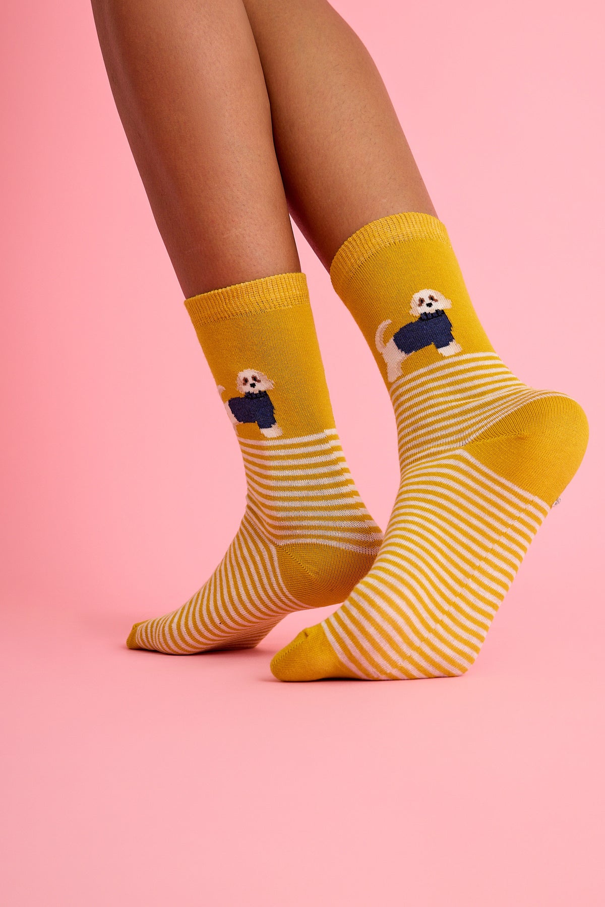 Sevimli Köpek ve Çizgili Sarı Çorap