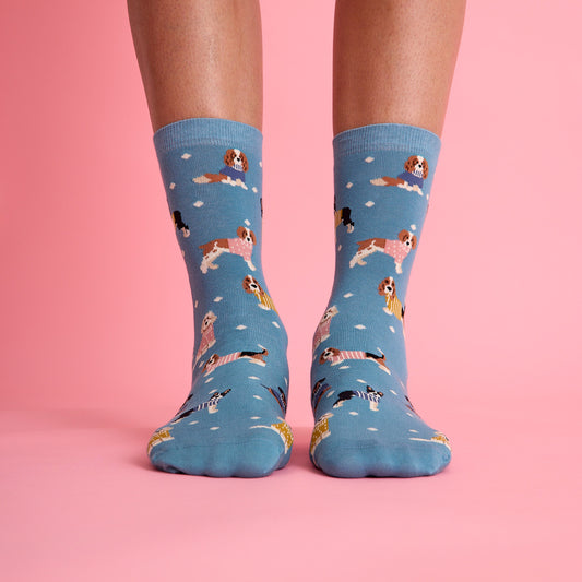 Elbiseli köpek figürlü, pembe ve sarı detaylı, mavi zeminli renkli çorap. Yumuşak dokulu ve eğlenceli tasarımıyla rahat bir kullanım sağlar.