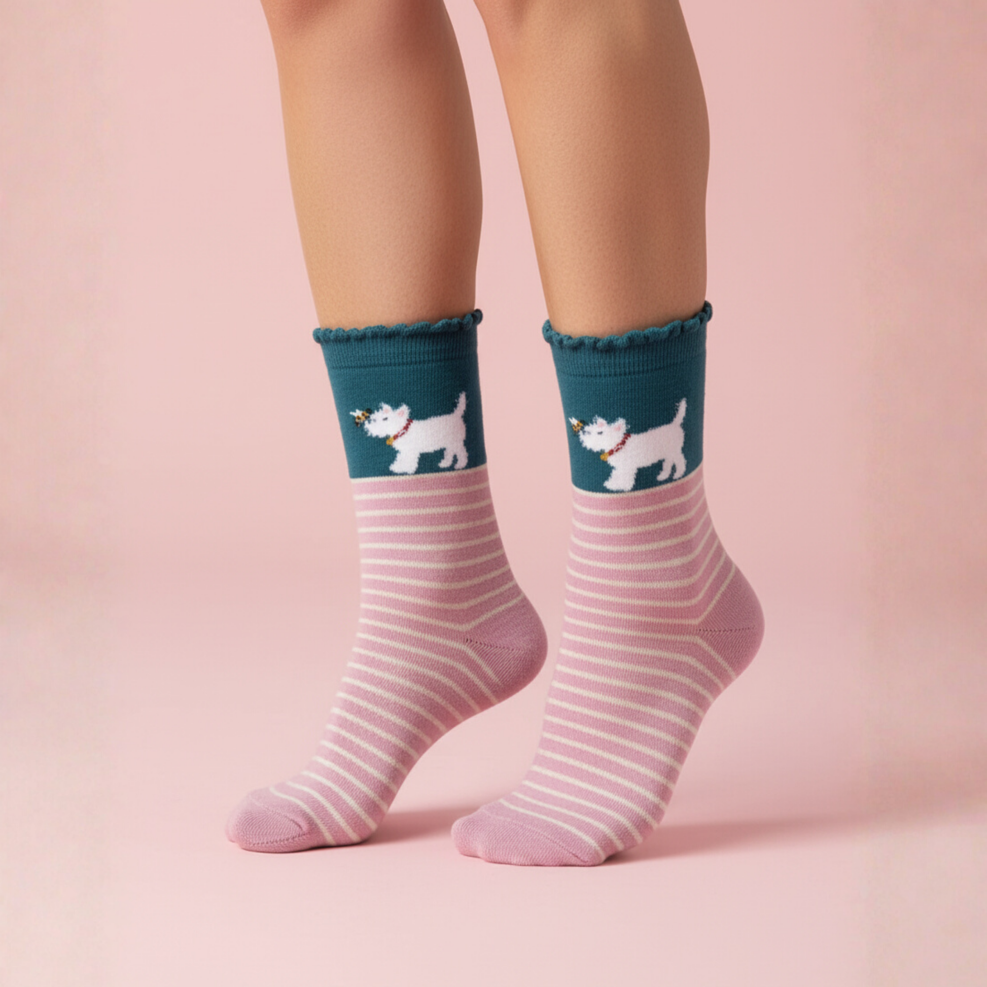 Pembe-krem çizgili, petrol mavisi bilekli; kabarık köpek (Westie) ve minik arı motifli soket çorap.