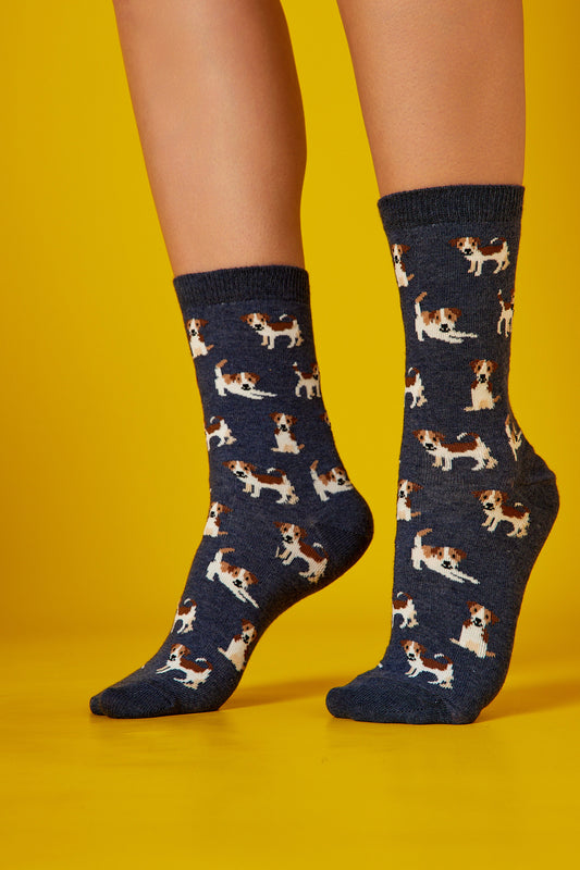 Sevimli Köpek Teriyer Koyu Fon Desenli Renkli Çorap