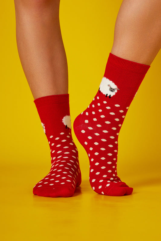 Puantiye Koyun Kırmızı Fon Desenli Çorap (36-41)