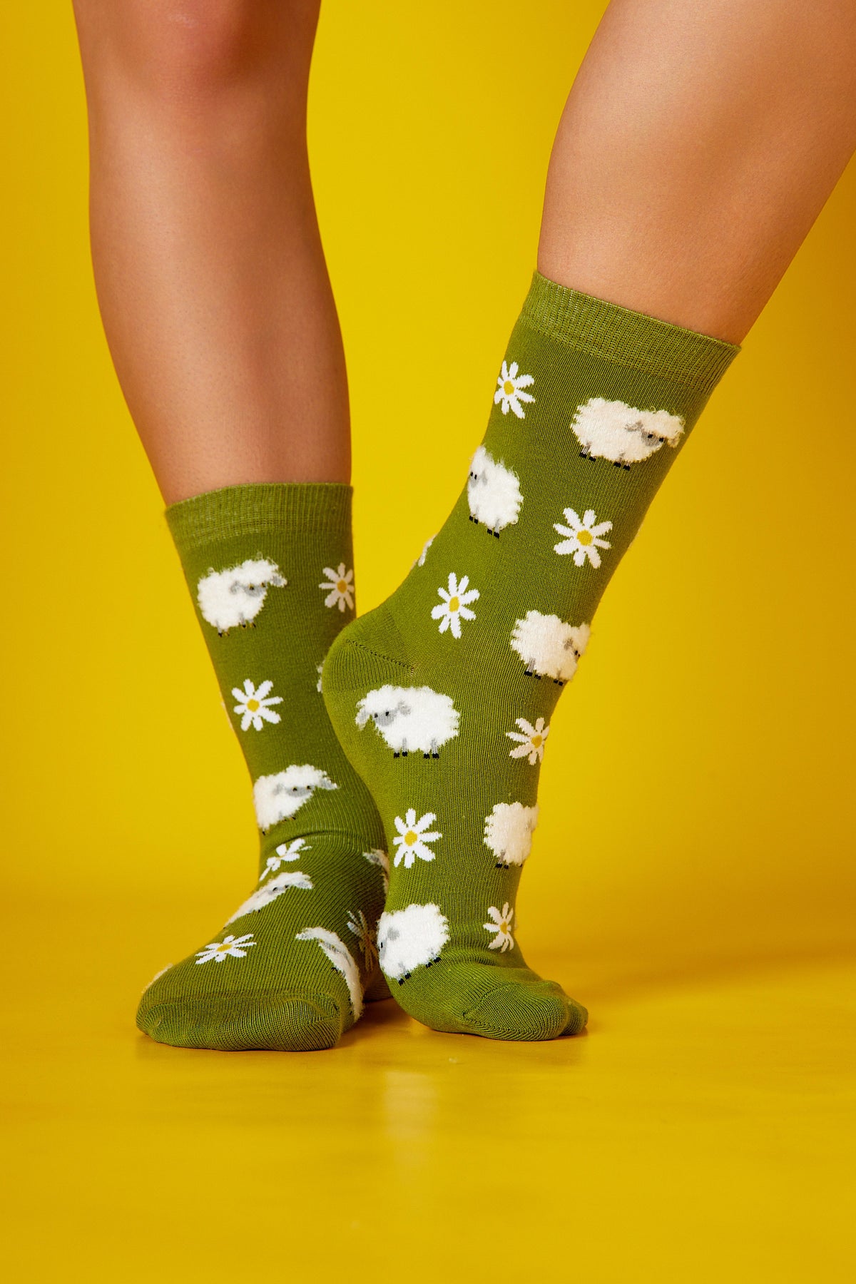 Papatya Koyun Yeşil Fon Desenli Çorap (36-41)