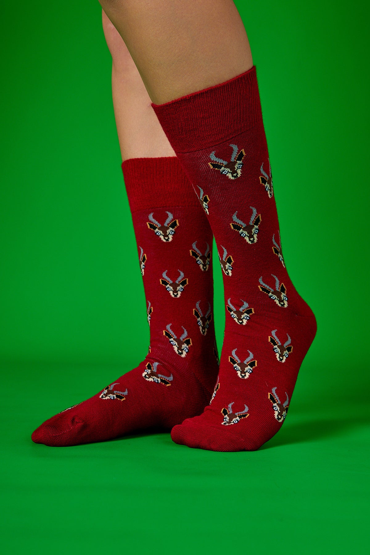 Geyik Portre Kırmızı Fon Desenli Renkli Çorap (41-46)