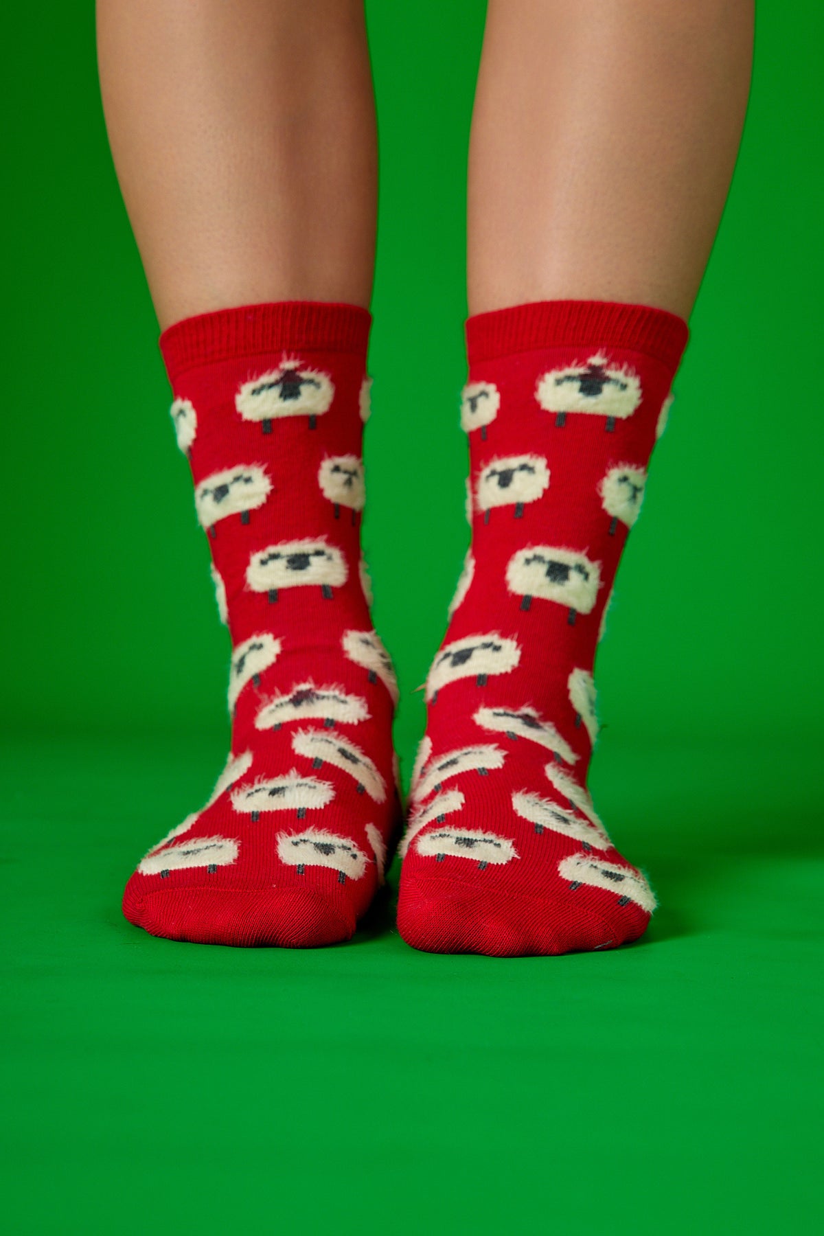 Tüylü Koyunlar Kırmızı Fon Desenli Çorap (36-41)