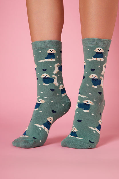 Bolognese Köpek Desenli Renkli Çorap