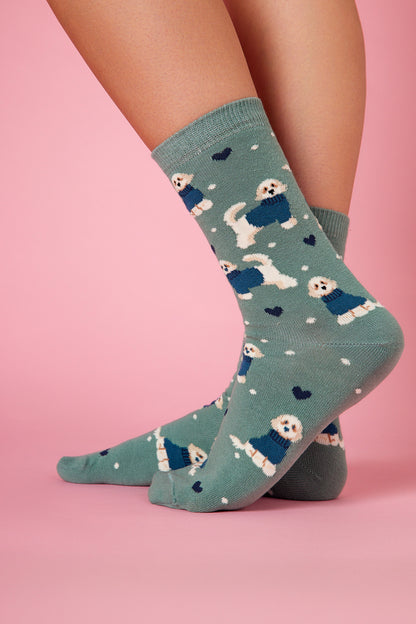 Bolognese Köpek Desenli Renkli Çorap