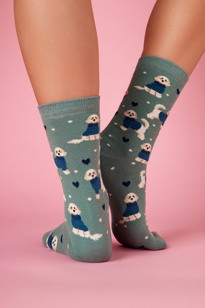 Bolognese Köpek Desenli Renkli Çorap