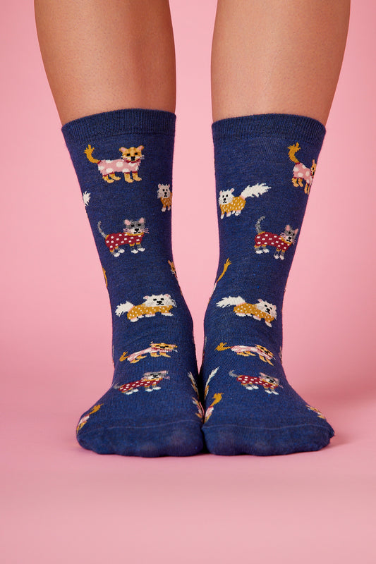 Elbiseli Kedi Desenli Renkli Çorap (36-41)
