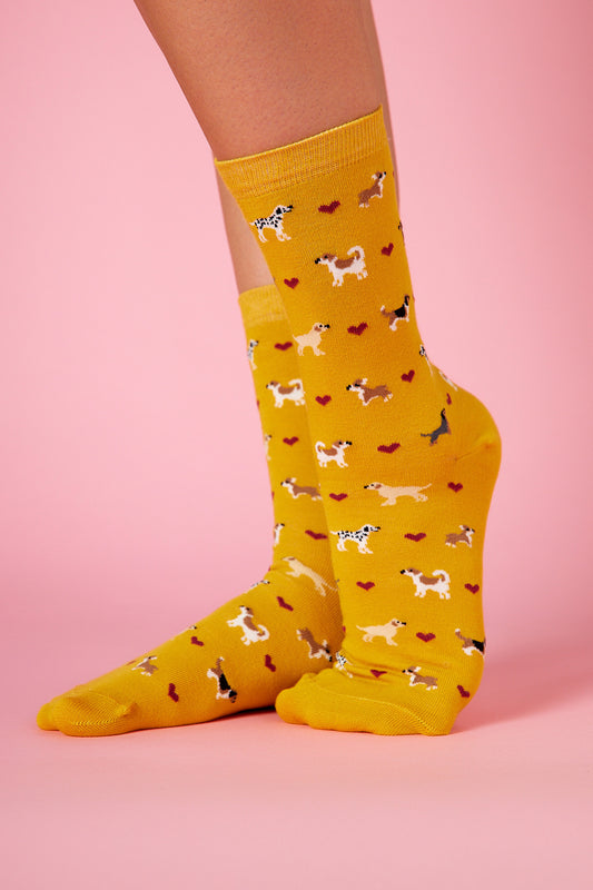 Dog Love Sarı Fon Desenli Renkli Çorap (36-41)