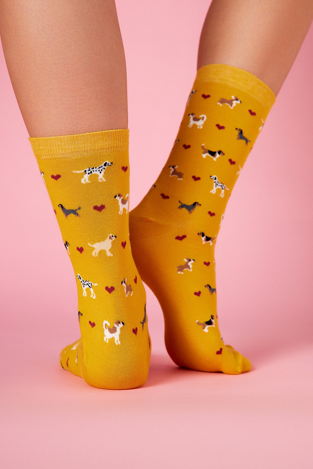 Dog Love Sarı Fon Desenli Renkli Çorap (36-41)