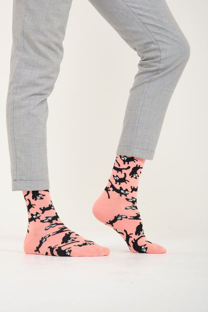 Pembe Kedi Desenli Renkli Çorap