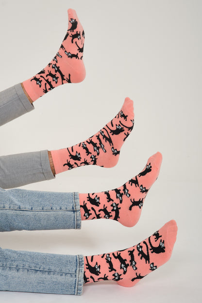 Pembe Kedi Desenli Renkli Çorap