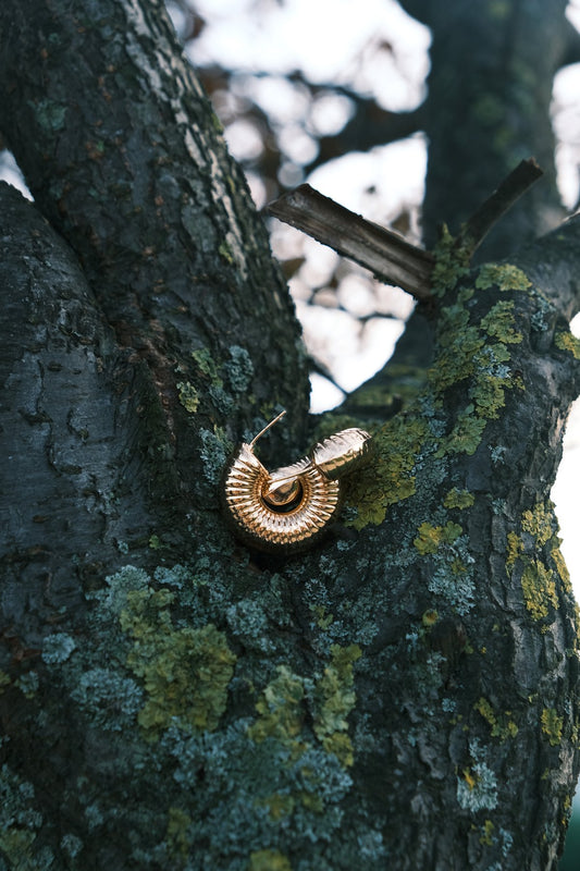 Snail Halka Küpe