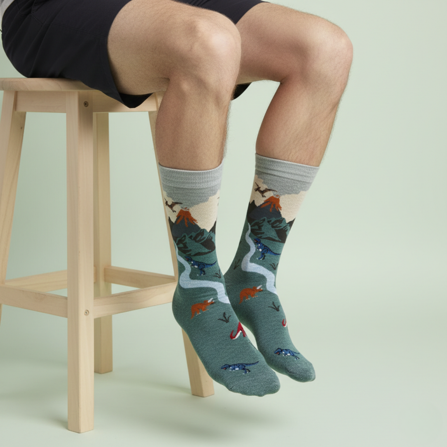 Jurassic Valley Dinozor Desenli Çorap