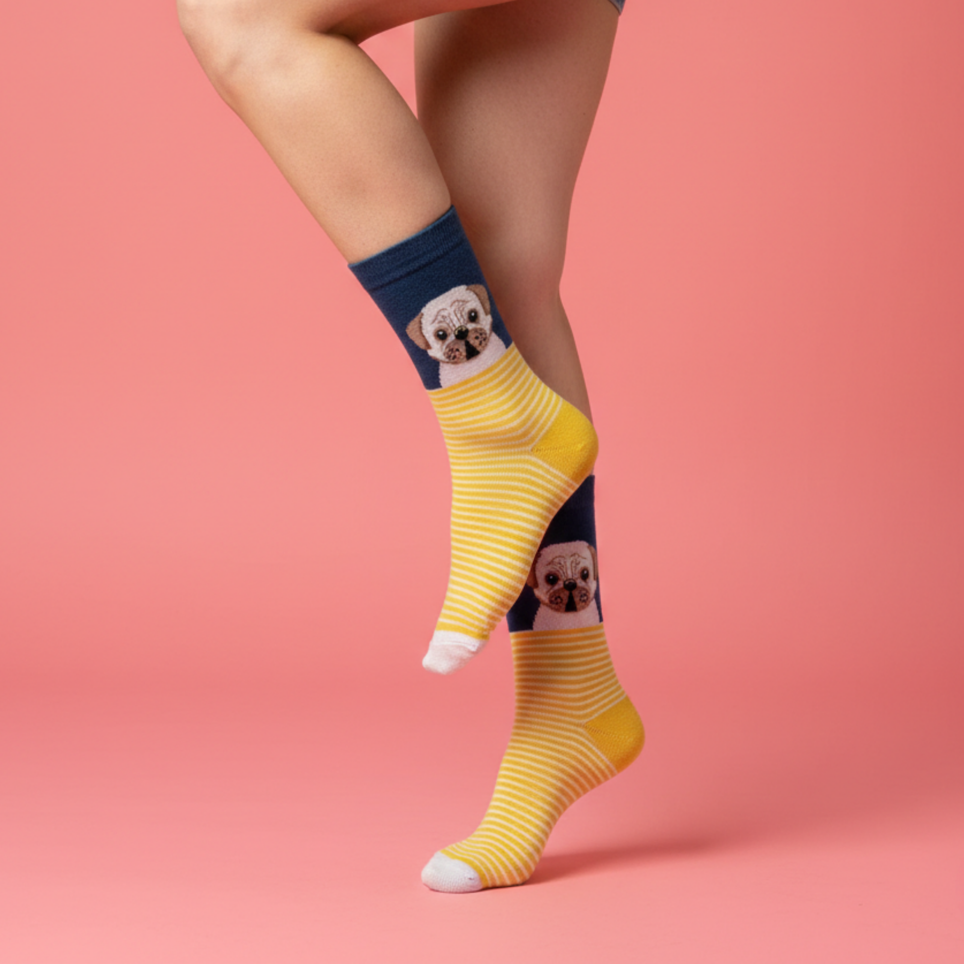 Pug köpek desenli sarı çizgili çorap
